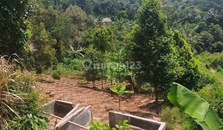 Tanah murah cocok untuk berkebun/investasi diorchid Cigombong 1