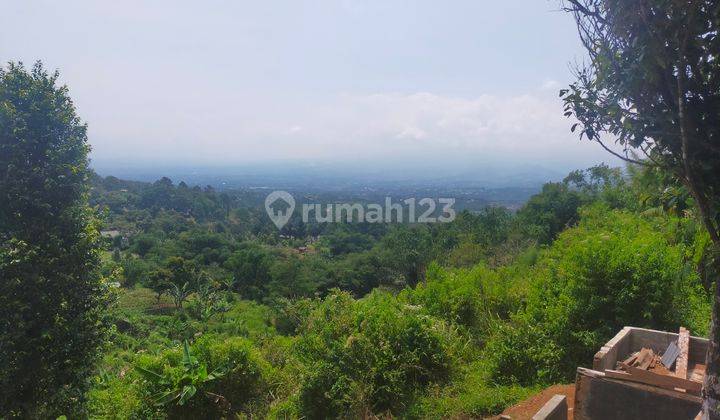 Tanah murah cocok untuk berkebun/investasi diorchid Cigombong 2