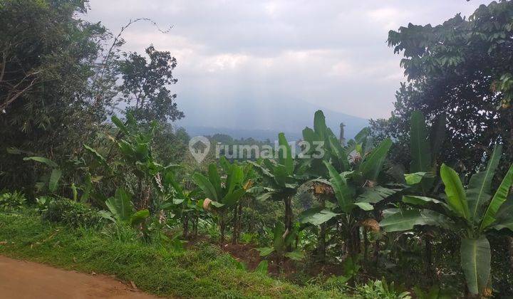 Tanah sawah&darat view the best lokasi strategis dicaringin  2