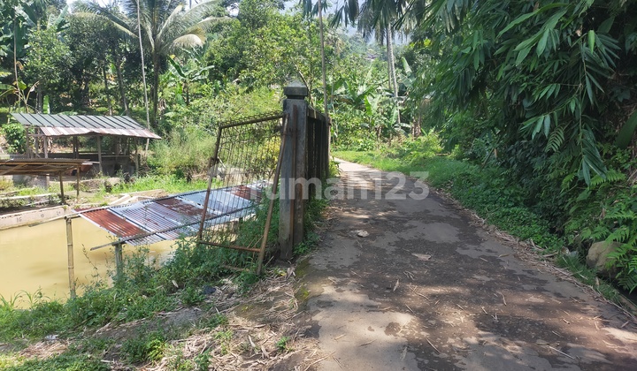 Tanah murah untuk bertambak ikan atau investasi lokasi strategis  3