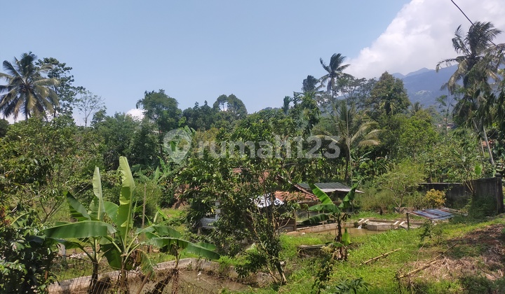 Tanah murah untuk bertambak ikan atau investasi lokasi strategis  4