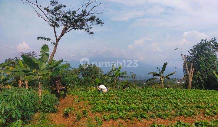 Tanah rata untuk investasi/berkebun villa lokasi sangat strategis 1