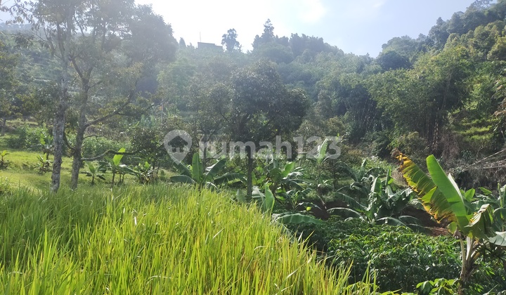 Tanah rata untuk investasi/berkebun villa lokasi sangat strategis 4