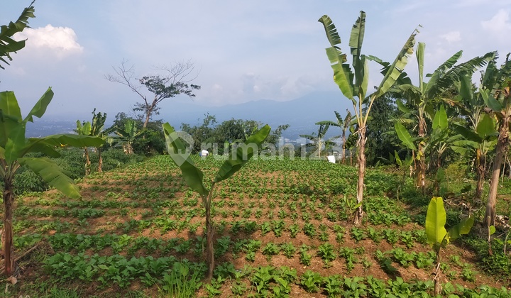 Tanah rata untuk investasi/berkebun villa lokasi sangat strategis 8