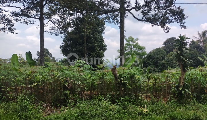 Tanah murah Rata sangat strategis view Aoen mall dicijayanti 7