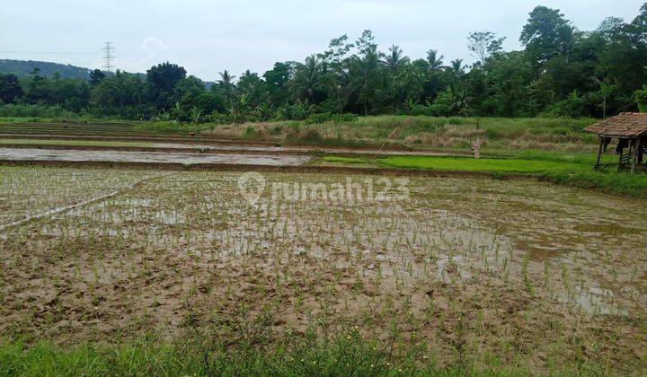 Lokasi murah investasi air bagus untuk bercocok tanam  1