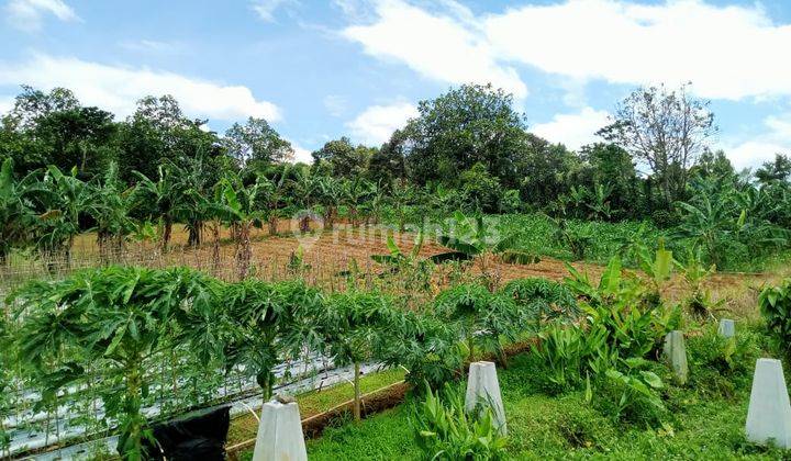 Lokasi untuk villa & investasi atau perternakan lokasi strategis 2