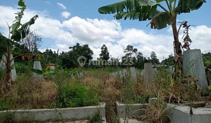 Lokasi untuk villa & investasi atau perternakan lokasi strategis 3