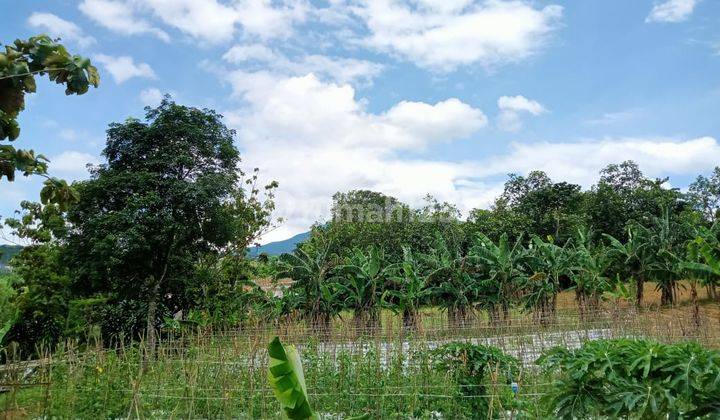 Lokasi untuk villa & investasi atau perternakan lokasi strategis 4