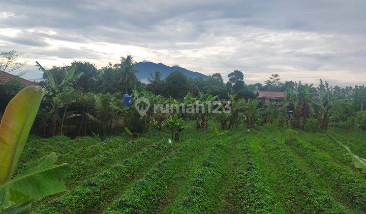 Lokasi untuk villa+rumah tinggal sangat strategis view lepas  1