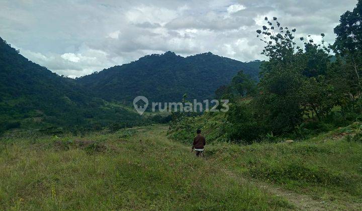 Tanah murah untuk villa view lepas ke gunung pancar  2