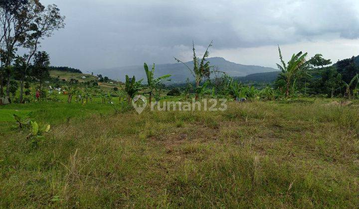 Tanah murah untuk villa view lepas ke gunung pancar  4
