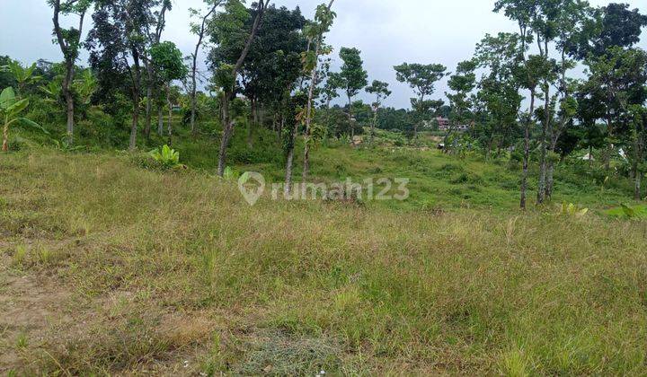 Tanah murah untuk villa view lepas ke gunung pancar  6