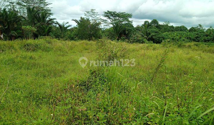Lokasi sangat strategis nempel jalan raya dijasinga  5