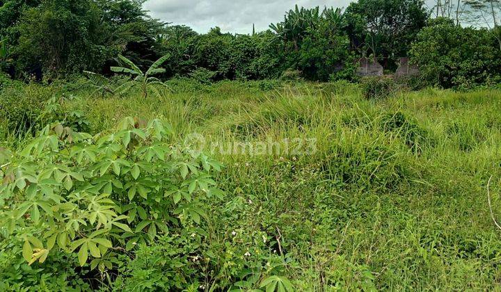 Lokasi sangat strategis nempel jalan raya dijasinga  9