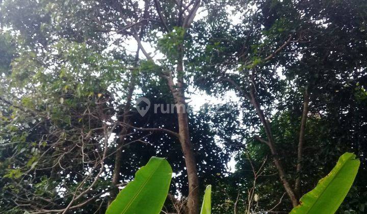 Lokasi murah untuk investasi ataupun berkebun lokasi strategis  13