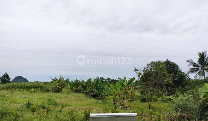 Lokasi untuk investasi sangat strategis nempel Jalan raya Rumpin  2