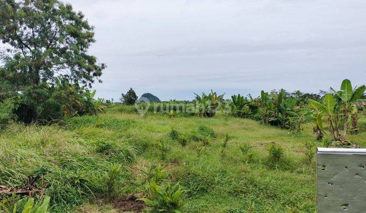 Lokasi untuk investasi sangat strategis nempel Jalan raya Rumpin  1