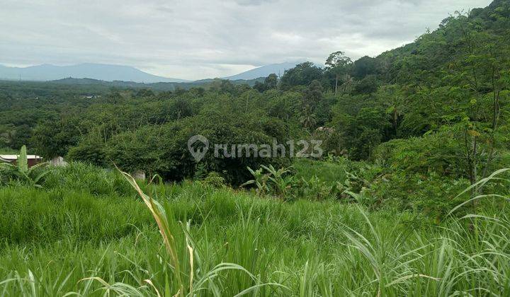 Tanah murah untuk investasi ataupun berkebun sangat strategis  2