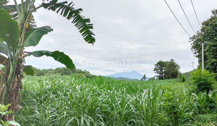 Lokasi untuk villa+ rumah tinggal lokasi strategis view lepas 1