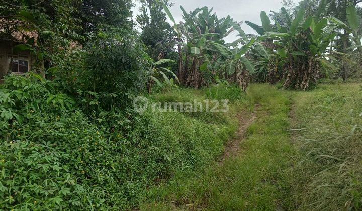 Tanah murah nempel jalan raya lokasi strategis dirumpin 1