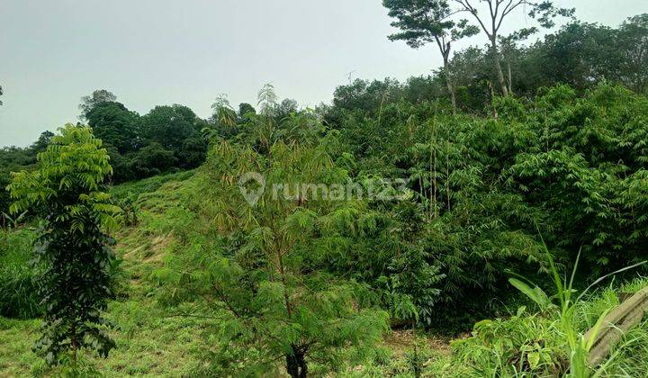 Lokasi nempel sungai sangat strategis+jalan raya rumpin  2