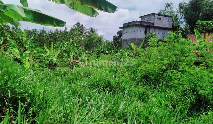 Lokasi untuk investasi ataupun berkebun sangat strategis diciahu 2