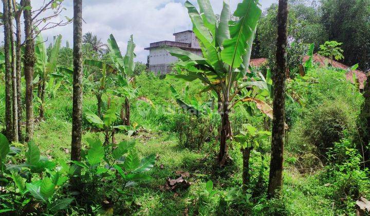 Lokasi untuk investasi ataupun berkebun sangat strategis diciahu 5