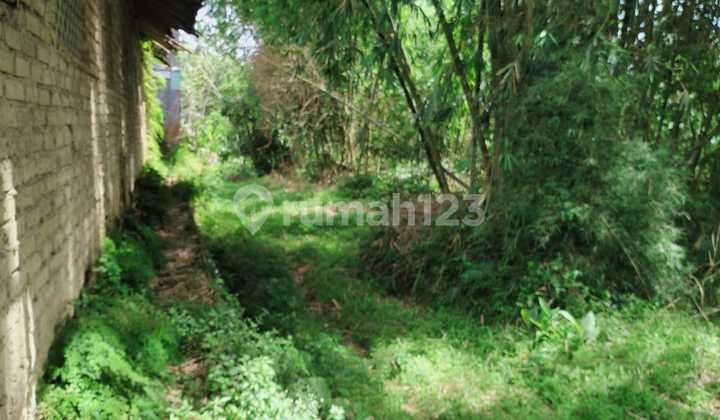 Lokasi untuk investasi ataupun berkebun sangat strategis diciahu 6