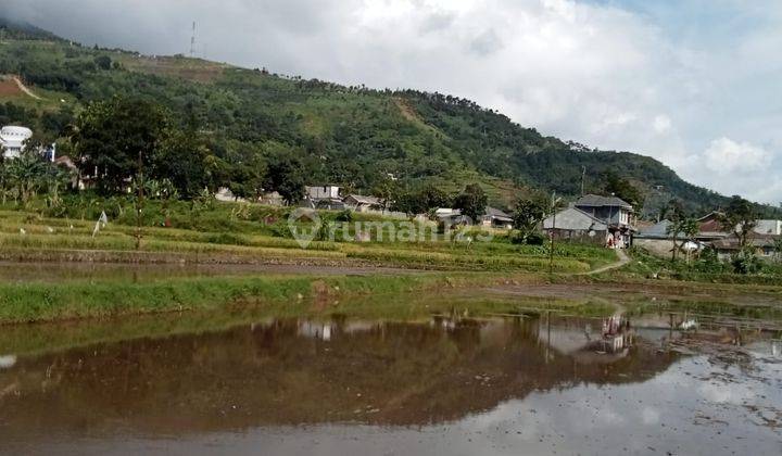 Tanah sawah murah sangat strategis nempel kali sungai  2