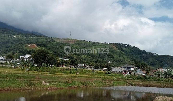 Tanah sawah murah sangat strategis nempel kali sungai  1