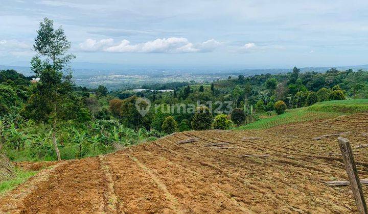 Tanah murah untuk villa+cafe resort Sangat strategis view lepas  2