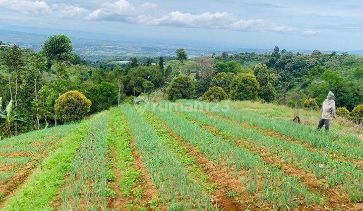 Tanah murah untuk villa+cafe resort Sangat strategis view lepas  1