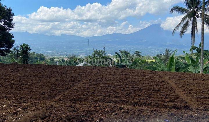 Tanah murah untuk villa+Rumah lokasi strategis view lepas gunung 2