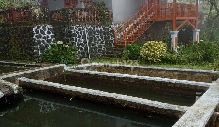 Rumah kebun villa siap huni sangat strategis dicigombong  1