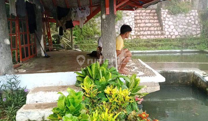 Rumah kebun villa siap huni sangat strategis dicigombong  2