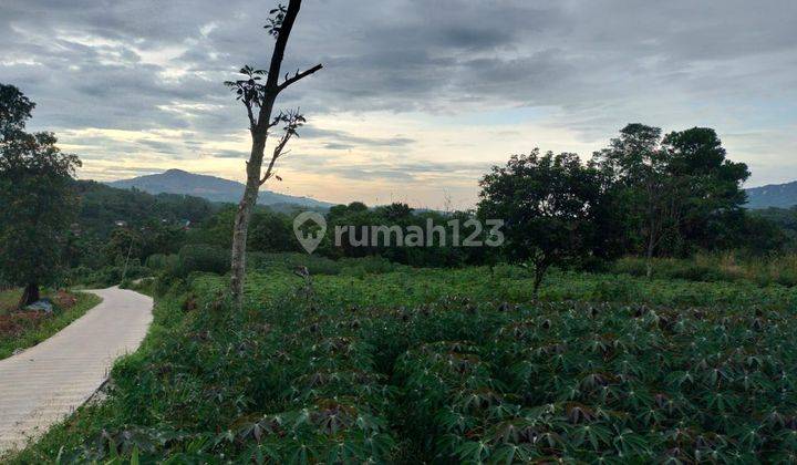 Tanah murah untuk villa+investasi sangat strategis banget 3