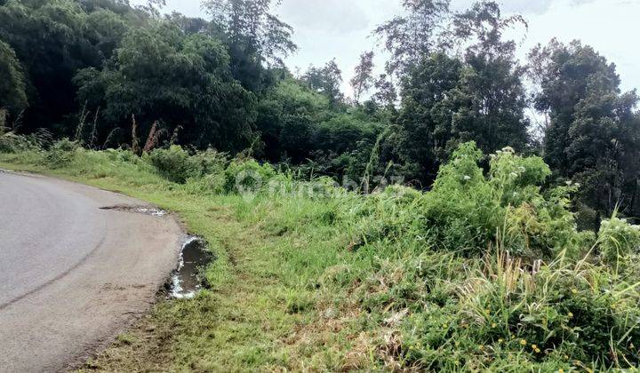 Tanah murah untuk investasi+villa sangat strategis view lepas  4