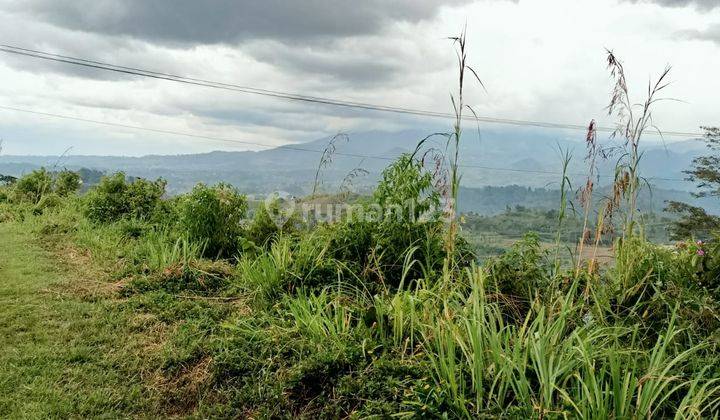 Tanah murah untuk investasi+villa sangat strategis view lepas  6