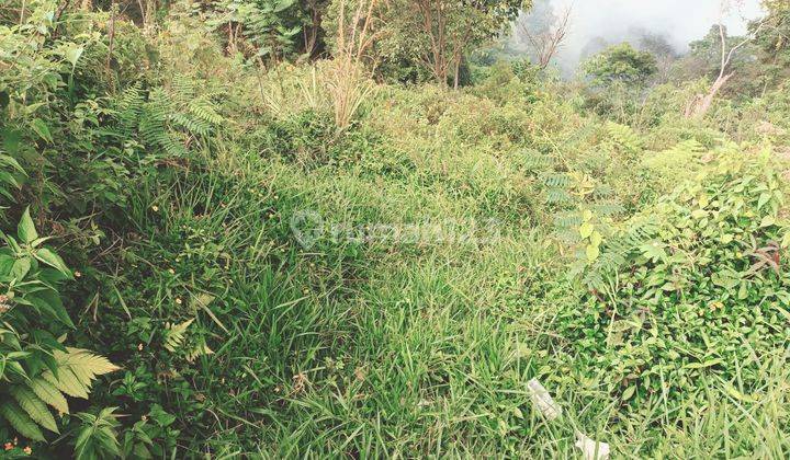 Tanah murah untuk investasi+villa sangat strategis view lepas  7
