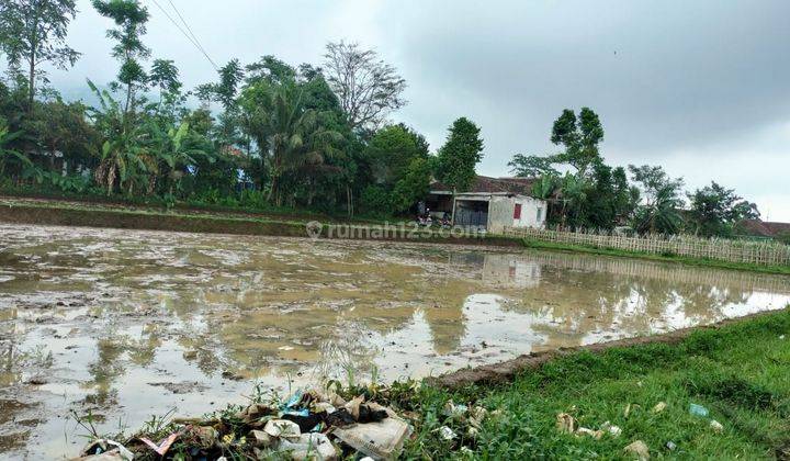 Tanah murah untuk rumah+villa+sawah sangat strategis dicigombong 1