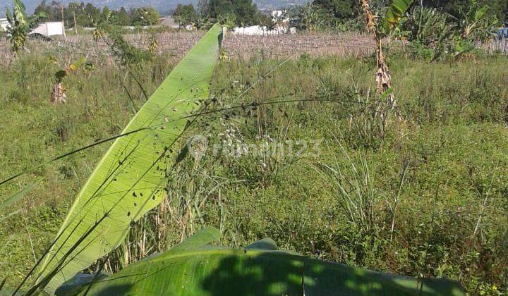 Tanah murah untuk villa+cafe resort view lepas dipancawati  2