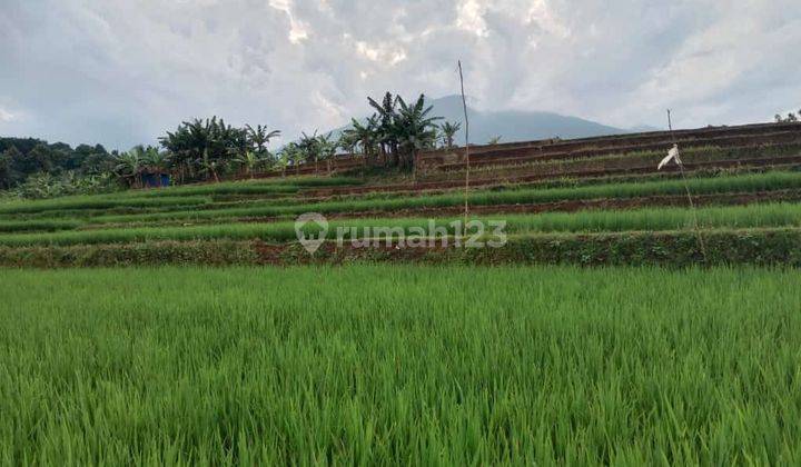 Tanah sawah sangat strategis view lepas untuk villa dicijeruk 2