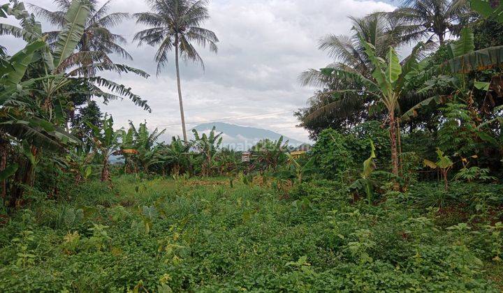 Tanah murah untuk investasi ataupun berkebun villa dicijeruk  1