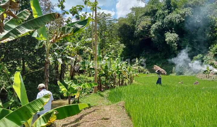 Tanah murah untuk investasi sangat strategis view lepas  3