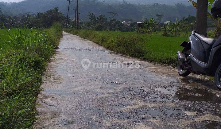 Tanah sawah murah sangat strategis banget view lepas ke gunung  2