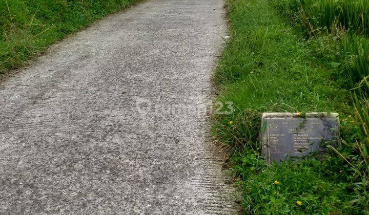 Tanah sawah murah sangat strategis view lepas  5