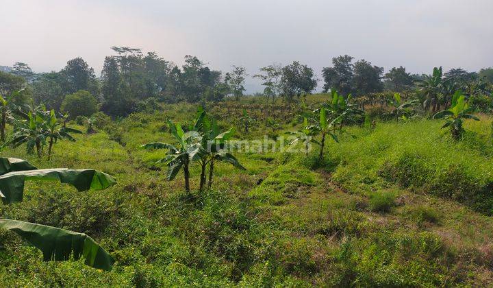 Tanah murah untuk cafe resort+investasi sangat strategis 2