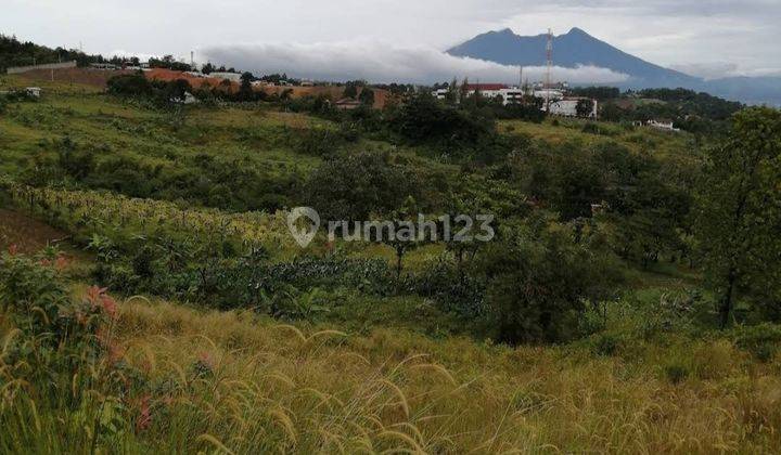 Tanah murah untuk cafe resort+investasi sangat strategis 1