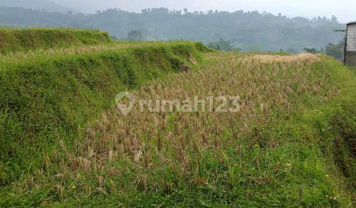 Tanah sawah murah sangat strategis view lepas nempel kali sungai 3